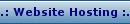 Website Hosting