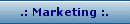 Website Marketing
